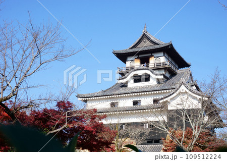 紅葉に映える犬山城　6 109512224