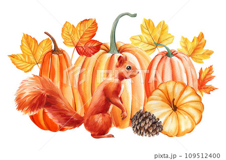 Cute squirrel, cone, pumpkin and leaves maple, watercolor hand drawing. Autumn fall composition 109512400