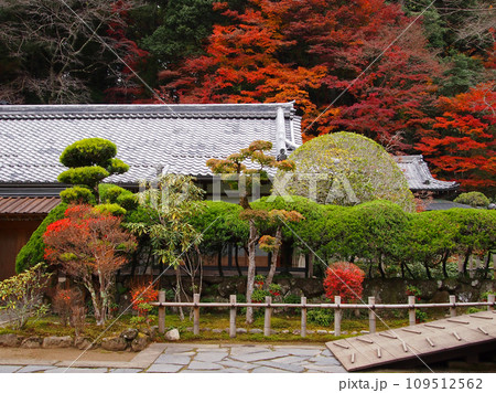 紅葉に包まれた室生寺 紅葉に包まれた室生寺 109512562