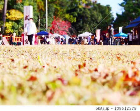 秋の公園でのイベント　秋の行楽 109512578