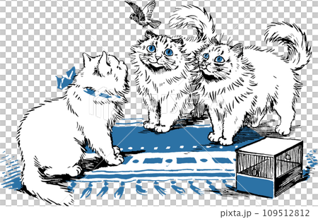 一隻貓用眼睛追鳥的插圖 109512812