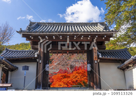 秋の京都 実相院門跡 紅葉に包まれた四脚門 秋の京都 実相院門跡 紅葉に包まれた四脚門 109513326
