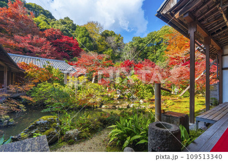 秋の京都　実相院門跡　紅葉に包まれた山水庭園 109513340