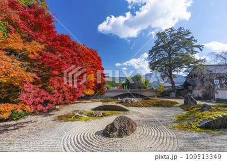 秋の京都 実相院門跡 紅葉に包まれた「こころのお庭」 秋の京都 実相院門跡 紅葉に包まれた「こころのお庭」 109513349