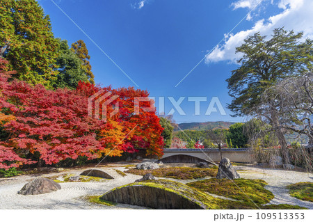 秋の京都 実相院門跡 紅葉に包まれた「こころのお庭」 秋の京都 実相院門跡 紅葉に包まれた「こころのお庭」 109513353