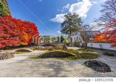 秋の京都 実相院門跡 紅葉に包まれた「こころのお庭」 秋の京都 実相院門跡 紅葉に包まれた「こころのお庭」 109513356
