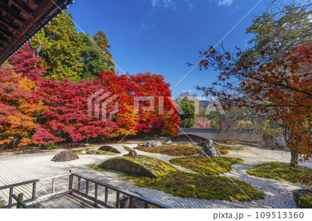 秋の京都 実相院門跡 紅葉に包まれた「こころのお庭」 秋の京都 実相院門跡 紅葉に包まれた「こころのお庭」 109513360