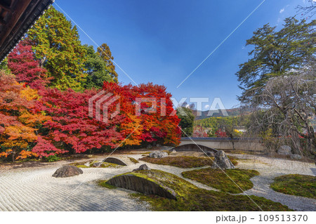 秋の京都 実相院門跡 紅葉に包まれた「こころのお庭」 秋の京都 実相院門跡 紅葉に包まれた「こころのお庭」 109513370