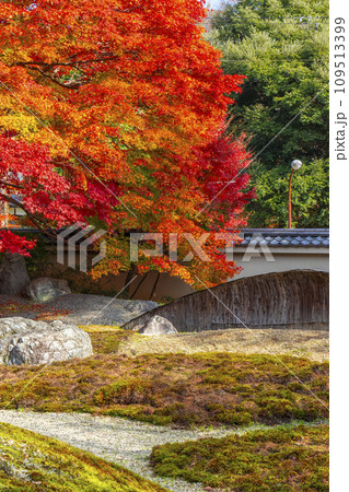 秋の京都 実相院門跡 紅葉に包まれた「こころのお庭」 秋の京都 実相院門跡 紅葉に包まれた「こころのお庭」 109513399
