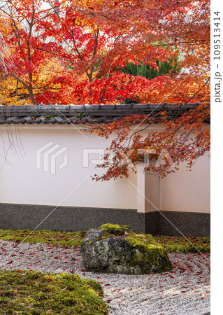 秋の京都 実相院門跡 紅葉に包まれた「こころのお庭」 秋の京都 実相院門跡 紅葉に包まれた「こころのお庭」 109513414