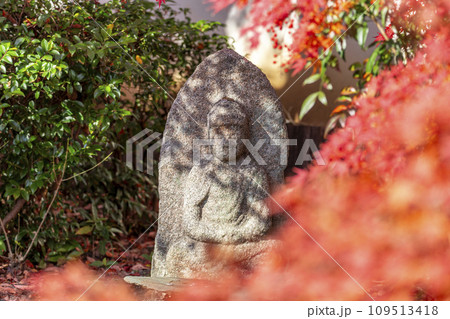 秋の京都　実相院門跡　紅葉と庭園と石仏 109513418