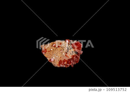 Macro mineral stone Vanadinite on a black background 109513752