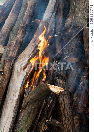 Beautiful fire flames on a campfire Beautiful fire flames on a campfire 109513771