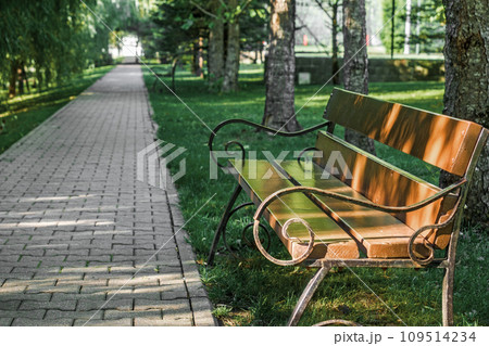 Place to relax in park. Empty wooden bench stands under trees next to path in forest park. Place to relax in park. Empty wooden bench stands under trees next to path in forest park. 109514234