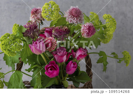 春の花のフラワーアレンジ 花の贈り物 春の花のフラワーアレンジ 花の贈り物 109514268