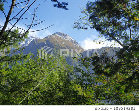 上高地　河童橋～明神池　自然探索路から見る山　10月 109514283