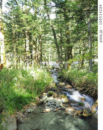 上高地　梓川支流の景色　10月 109514284