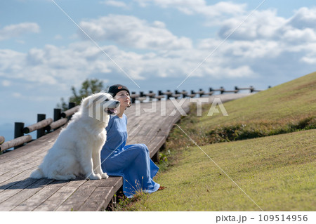 犬のいる生活 犬のいる生活 109514956