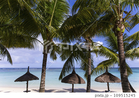 parasols on the beach in Mauritius island parasols on the beach in Mauritius island 109515245