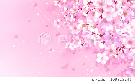 桜と舞い散る花びらの背景 桜吹雪 ピンク 16:9のイラスト素材