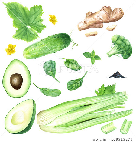 A set of vegetables and seeds for green cocktail or smoothie. Hand drawn watercolor food illustration isolated on white background. For clip art cards menu label package A set of vegetables and seeds for green cocktail or smoothie. Hand drawn watercolor food illustration isolated on white background. For clip art cards menu label package 109515279