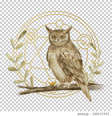 Mystical Owl Watercolor illustration. Hand drawn magical print on isolated background. Drawing of night bird and pentagram. Painting of fantasy sketch. For the design of esoteric cards and stickers. Mystical Owl Watercolor illustration. Hand drawn magical print on isolated background. Drawing of night bird and pentagram. Painting of fantasy sketch. For the design of esoteric cards and stickers. 109515355