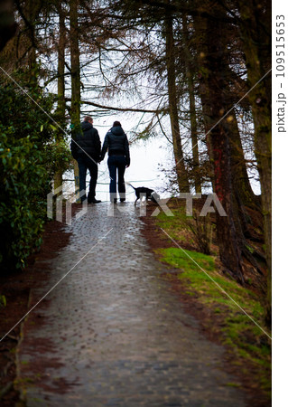 Lakeside Promenade with a Four-Legged Friend 109515653