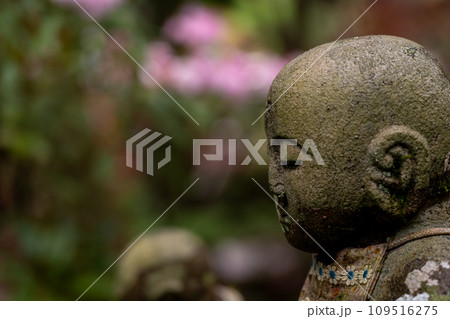 庶民に親しまれ地域を見守ってくれるかわいいお地蔵様 109516275