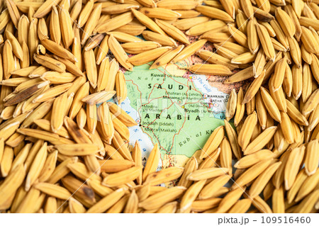 Bangkok, Thailand May 14, 2023 Brown rice paddy seeds on Saudi Arabia map, India rice export ban trigger a global food crisis concept. Bangkok, Thailand May 14, 2023 Brown rice paddy seeds on Saudi Arabia map, India rice export ban trigger a global food crisis concept. 109516460