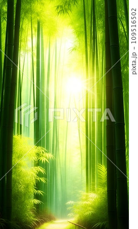 木漏れ日の射す竹林の風景 木漏れ日の射す竹林の風景 109516502