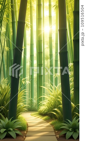 木漏れ日の射す竹林の風景 木漏れ日の射す竹林の風景 109516504
