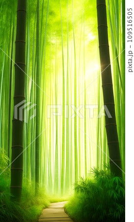 木漏れ日の射す竹林の風景 木漏れ日の射す竹林の風景 109516505
