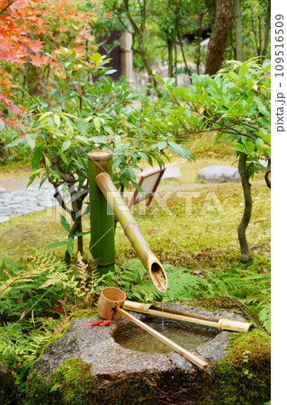 苔むした手水鉢　つくばい3 109516509