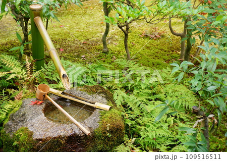 苔むした手水鉢 つくばい1 苔むした手水鉢 つくばい1 109516511