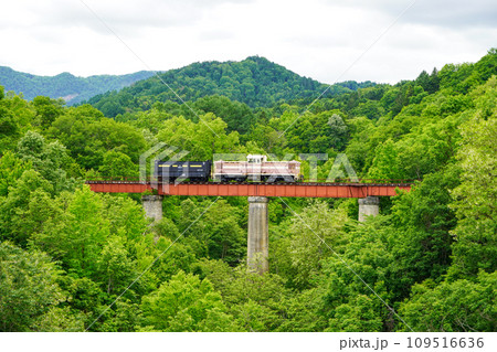 旧三井芦別鉄道炭山川橋梁の静態保存車両 旧三井芦別鉄道炭山川橋梁の静態保存車両 109516636
