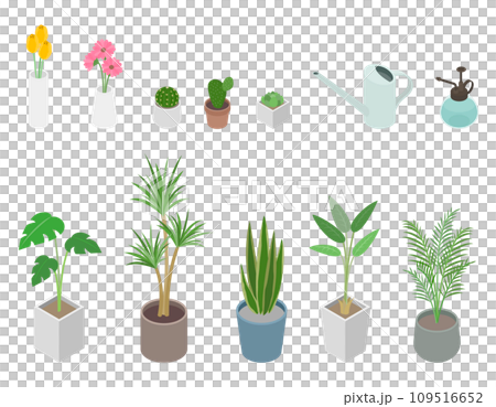 アイソメトリックイラスト:観葉植物と花 109516652