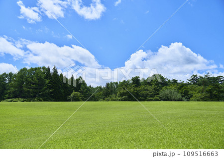 緑の芝生と青空の広がる風景 緑の芝生と青空の広がる風景 109516663