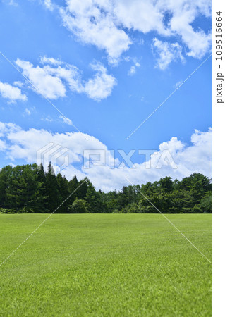 緑の芝生と青空の広がる風景 緑の芝生と青空の広がる風景 109516664