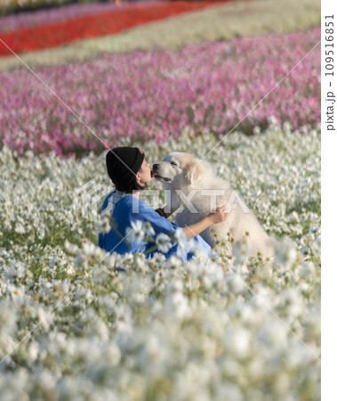 花畑 花畑 109516851
