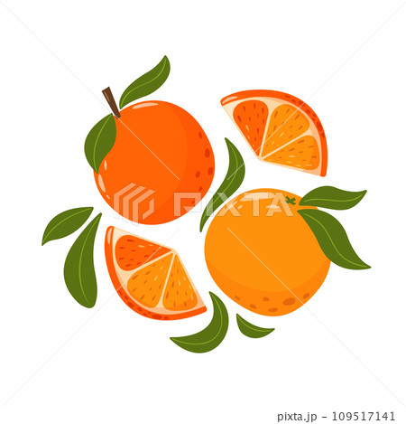 Whole and slices oranges with leaves. Set of citrus fruits. Summer vitamin vector illustration for banner, poster, flyer, banner, greeting card. Cartoon flat style. 109517141