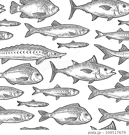 Seamless pattern different types of fish. Vintage vector engraving 109517679