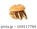 Bavarian street food, three grilled Nuremberg sausages on sauerkraut served in a fresh roll 109517784
