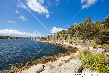 Story Bridge and Brisbane Skyline in Australia 109518270