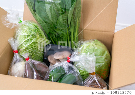 ふるさと納税の返礼品で届いたダンボール詰めの野菜 ふるさと納税の返礼品で届いたダンボール詰めの野菜 109518570