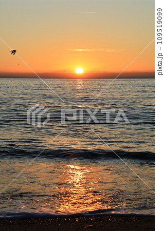 日の出の海とカモメ（縦） 109519099