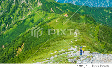 夏の爺ヶ岳登山(種池山荘~爺ヶ岳南峰) 夏の爺ヶ岳登山(種池山荘~爺ヶ岳南峰) 109519980