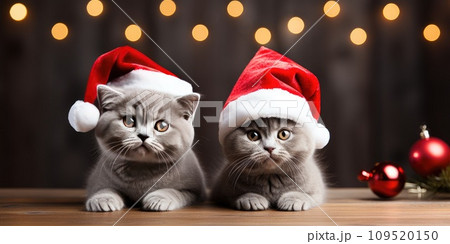 AI-generated content. funny kittens in a red hat, photo for a postcard or calendar. Christmas background. Generative AI  109520150