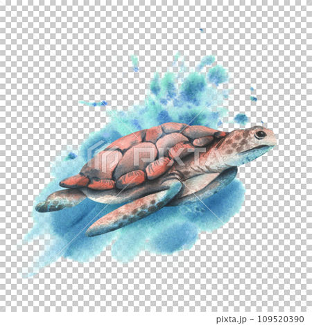 A blue and coral turtle swims against a background of blue and turquoise spots. Sea animals, underwater world, seafood. Isolated composition on a white background for decoration and design. 109520390