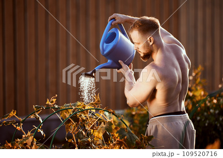 Young man waters cucumber bed using garden watering can on summer evening. 109520716