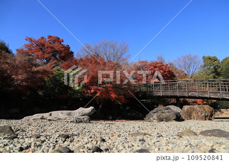 山上城跡公園 109520841